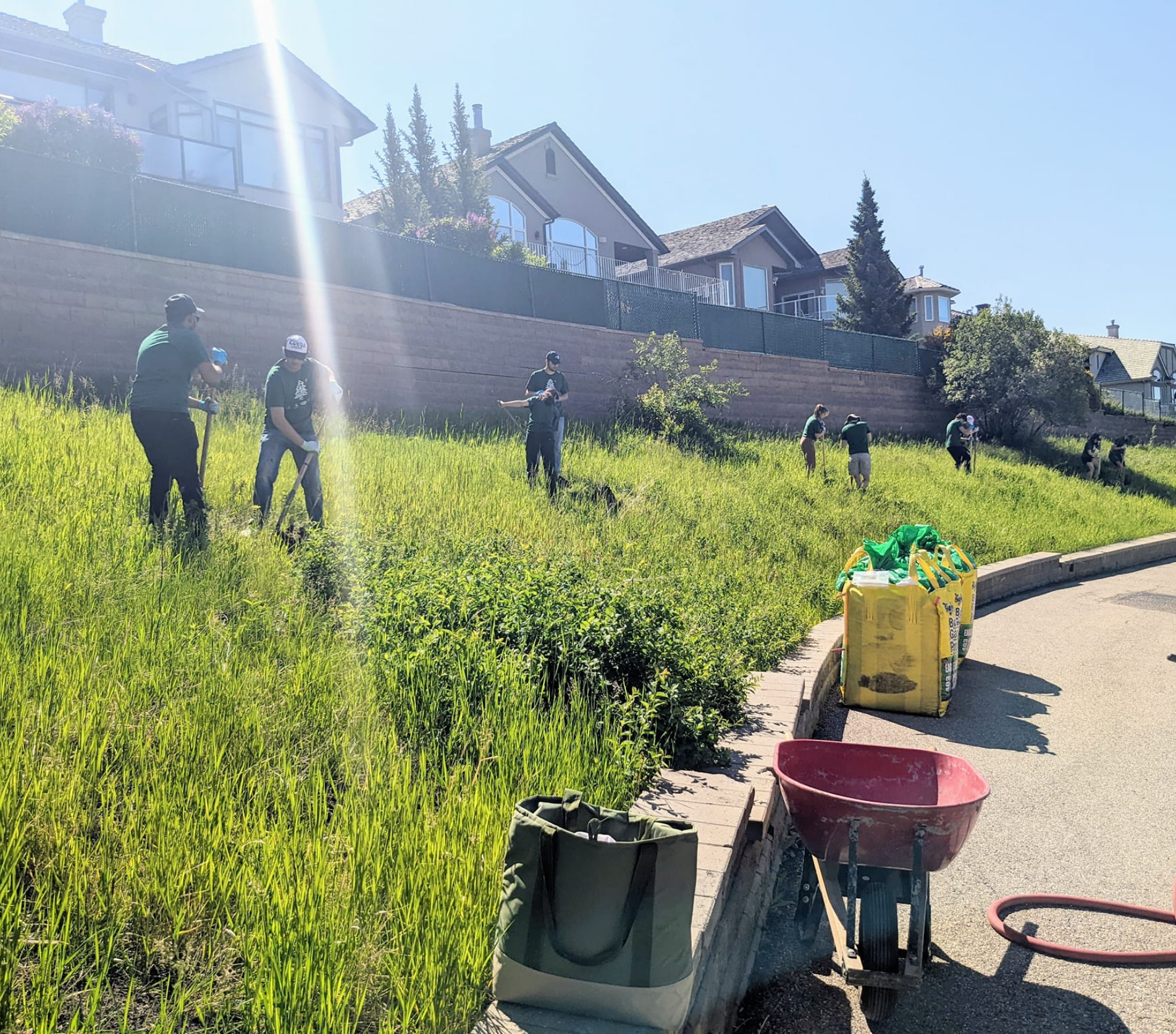 Community volunteers