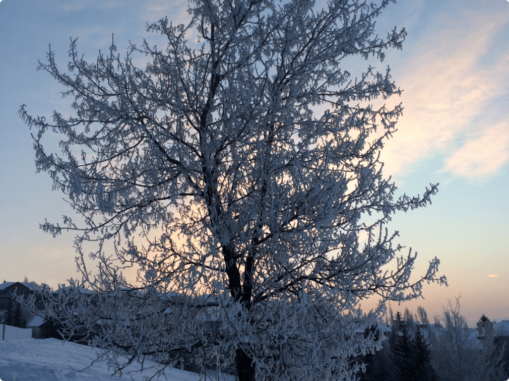 Signal Hill community