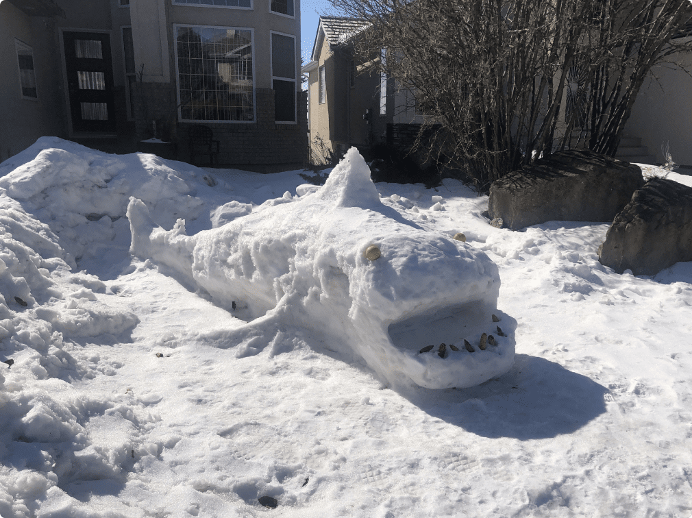 Community event in Signal Hill