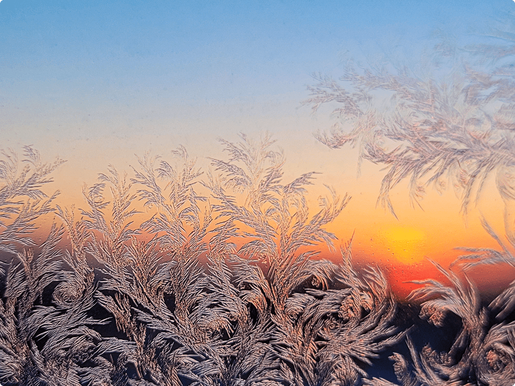 Signal Hill community