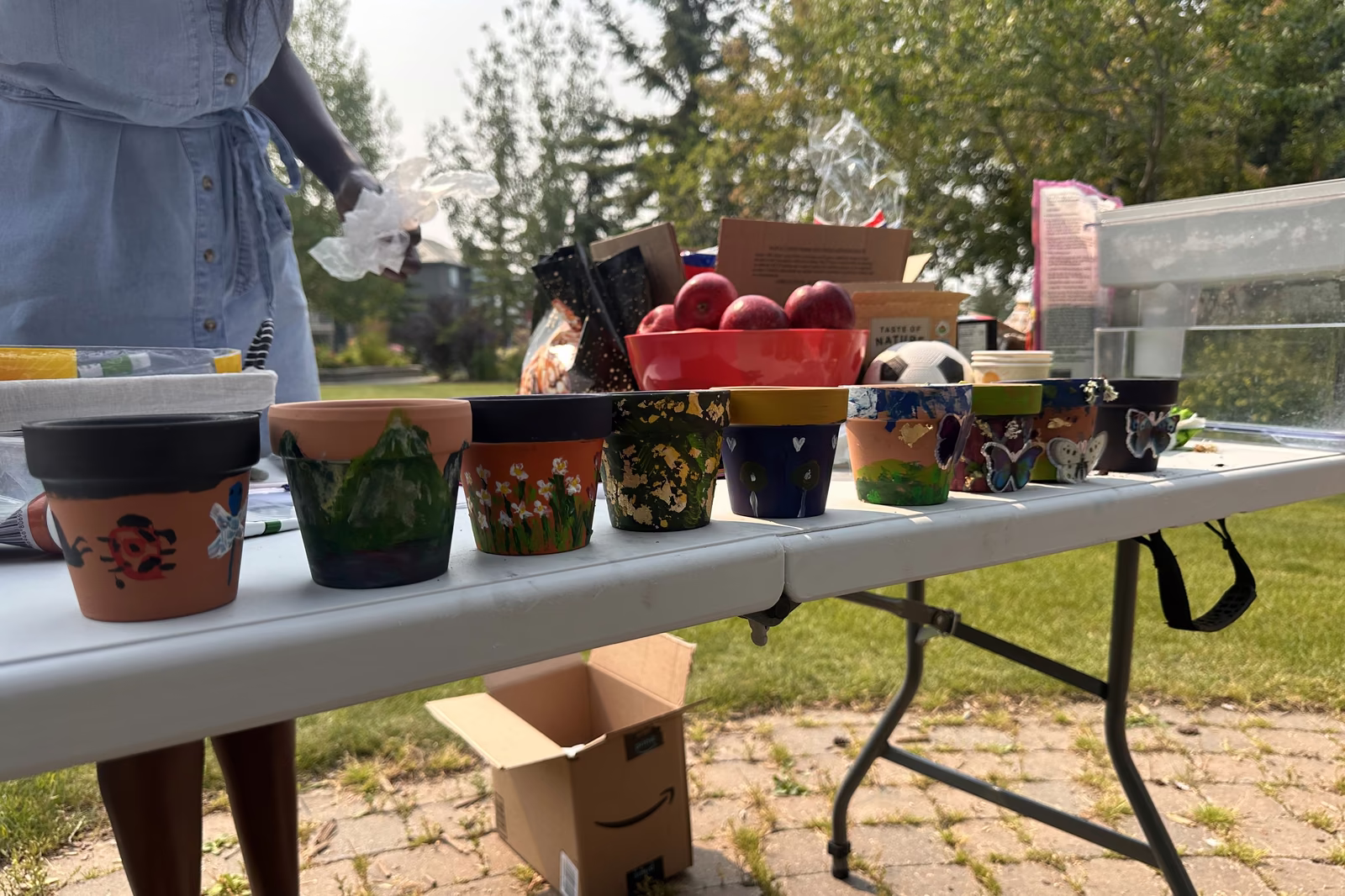 Painted pots and wild seeds: how Art in the Park went